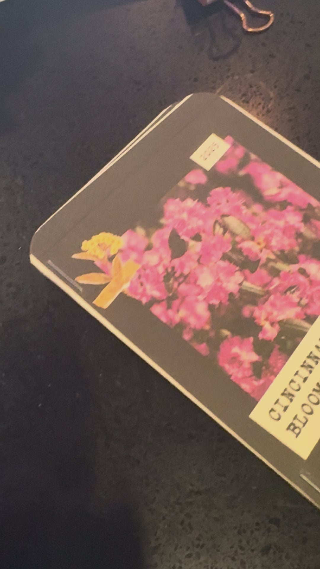 Zines